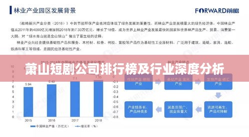 萧山短剧公司排行榜及行业深度分析