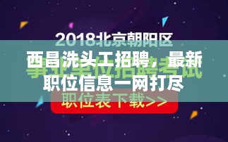 2025年2月19日 第5页