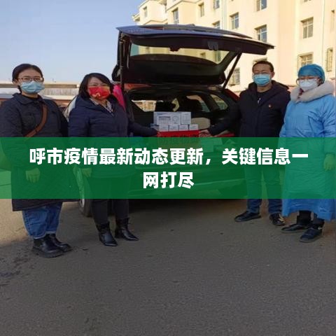 呼市疫情最新动态更新，关键信息一网打尽