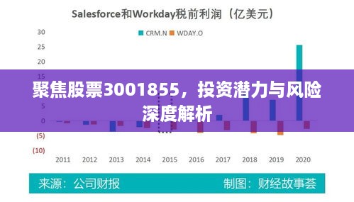聚焦股票3001855，投资潜力与风险深度解析