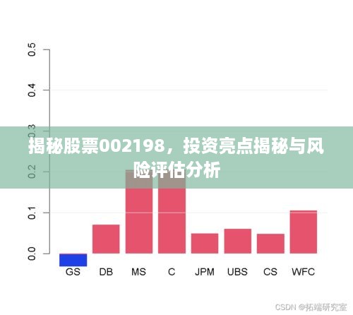 揭秘股票002198，投资亮点揭秘与风险评估分析