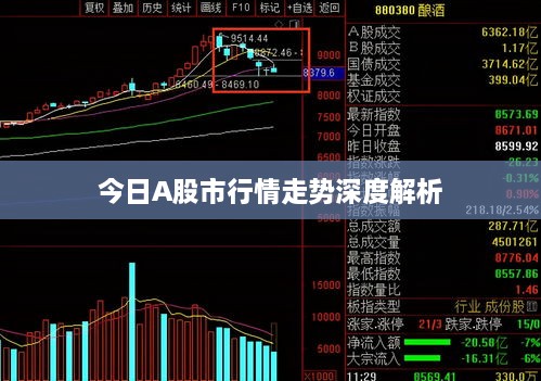 今日A股市行情走势深度解析