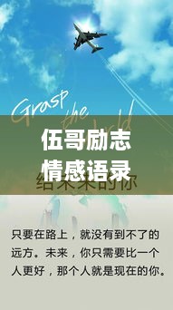 伍哥励志情感语录，探寻人生真谛，拥抱无限可能，感悟生活之美