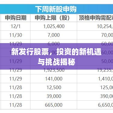 新发行股票，投资的新机遇与挑战揭秘