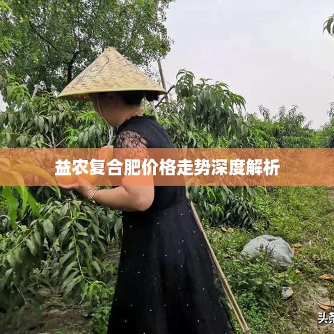 益农复合肥价格走势深度解析