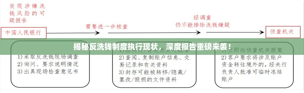 揭秘反洗钱制度执行现状，深度报告重磅来袭！