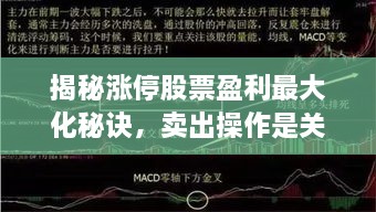 揭秘涨停股票盈利最大化秘诀，卖出操作是关键吗？