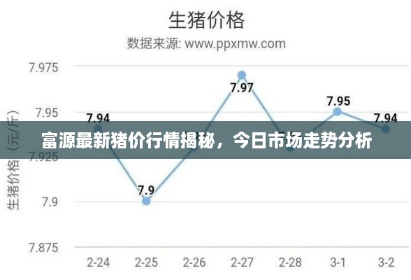 富源最新猪价行情揭秘，今日市场走势分析