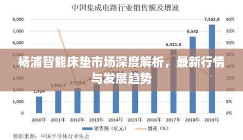 杨浦智能床垫市场深度解析，最新行情与发展趋势