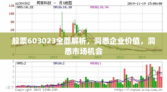 股票603023全面解析，洞悉企业价值，洞悉市场机会