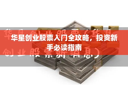 华星创业股票入门全攻略，投资新手必读指南