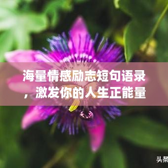 海量情感励志短句语录，激发你的人生正能量！