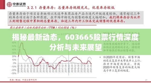 揭秘最新动态，603665股票行情深度分析与未来展望