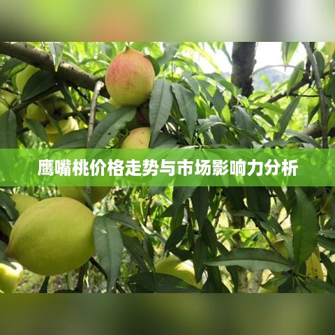 鹰嘴桃价格走势与市场影响力分析