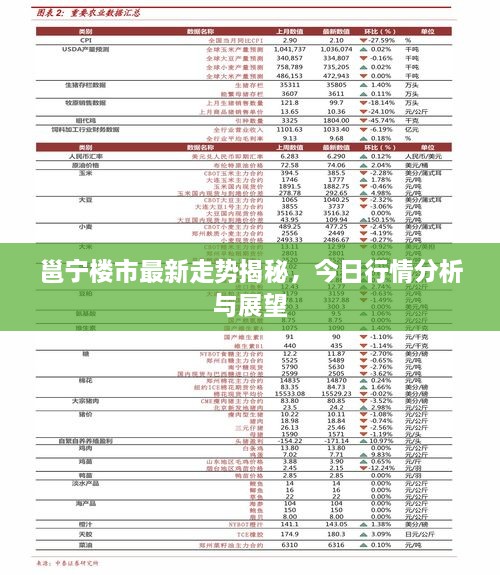 邕宁楼市最新走势揭秘，今日行情分析与展望