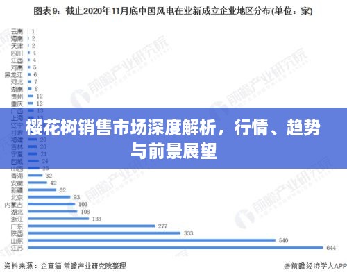 樱花树销售市场深度解析，行情、趋势与前景展望