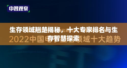 生存领域翘楚揭秘，十大专家排名与生存智慧探索