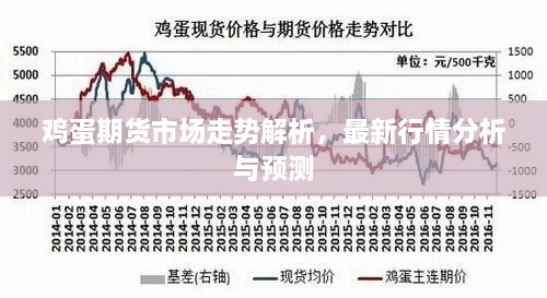 鸡蛋期货市场走势解析，最新行情分析与预测