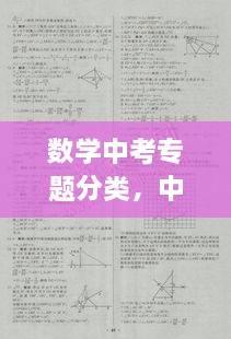 数学中考专题分类，中考数学专题分类训练 