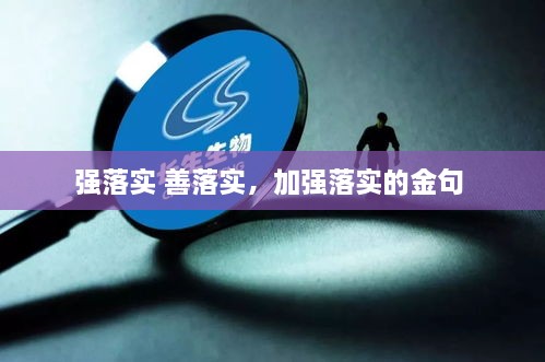 强落实 善落实，加强落实的金句 