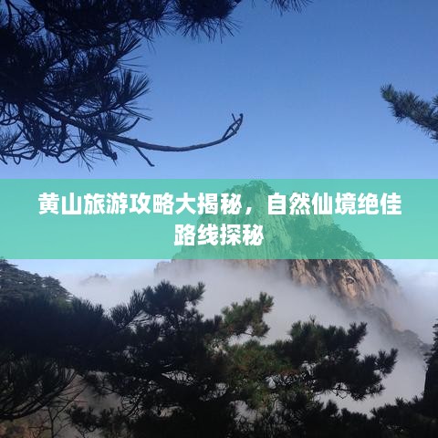 黄山旅游攻略大揭秘，自然仙境绝佳路线探秘