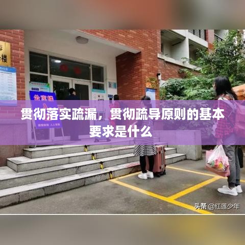 贯彻落实疏漏，贯彻疏导原则的基本要求是什么 