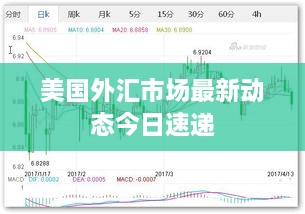 美国外汇市场最新动态今日速递