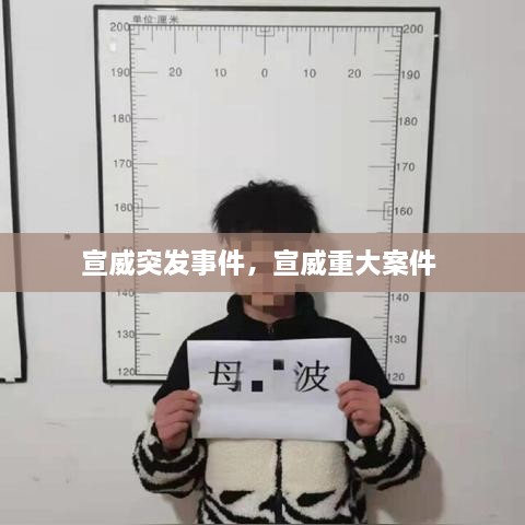 宣威突发事件，宣威重大案件 