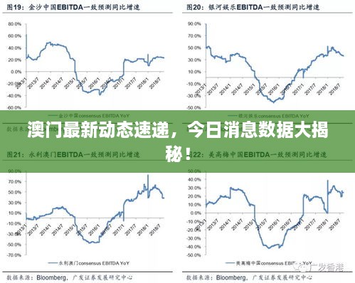 澳门最新动态速递，今日消息数据大揭秘！