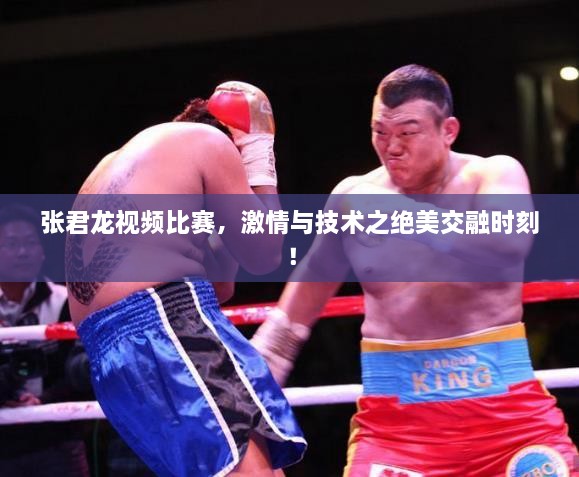 张君龙视频比赛，激情与技术之绝美交融时刻！