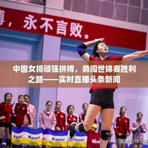 中国女排顽强拼搏，勇闯世锦赛胜利之路——实时直播头条新闻