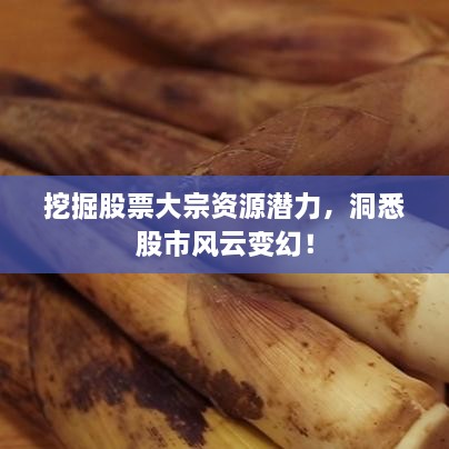 挖掘股票大宗资源潜力，洞悉股市风云变幻！