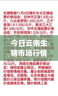 今日云南生猪市场行情解析，最新价格动态一网打尽！