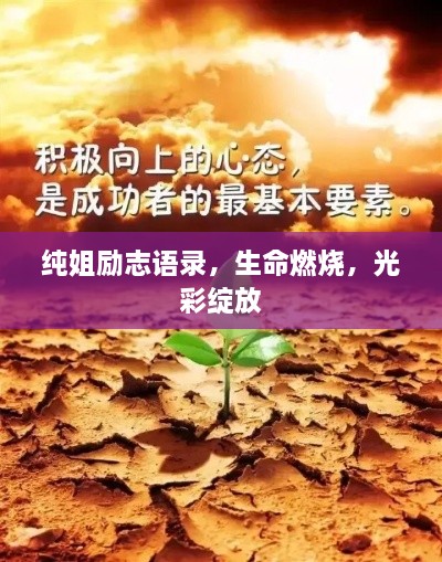 纯姐励志语录，生命燃烧，光彩绽放