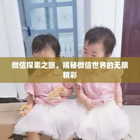 微信探索之旅，揭秘微信世界的无限精彩