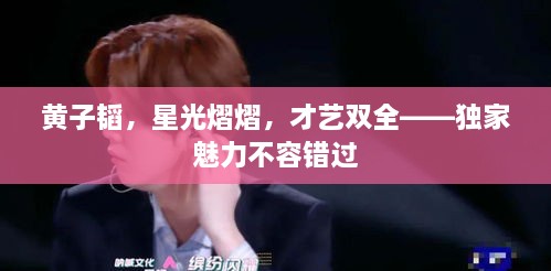 黄子韬，星光熠熠，才艺双全——独家魅力不容错过