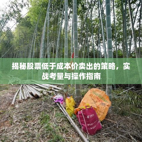 揭秘股票低于成本价卖出的策略，实战考量与操作指南