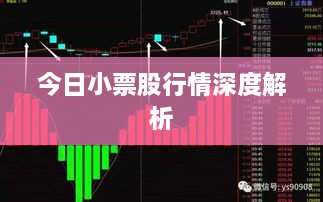 今日小票股行情深度解析