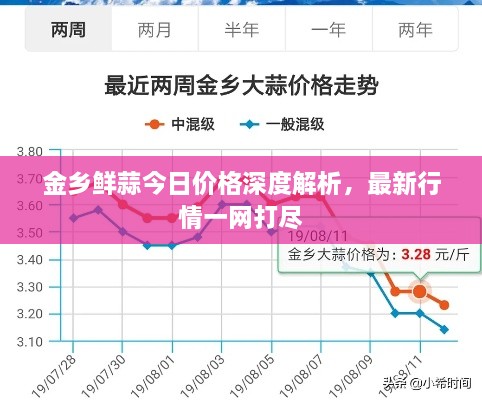 金乡鲜蒜今日价格深度解析，最新行情一网打尽