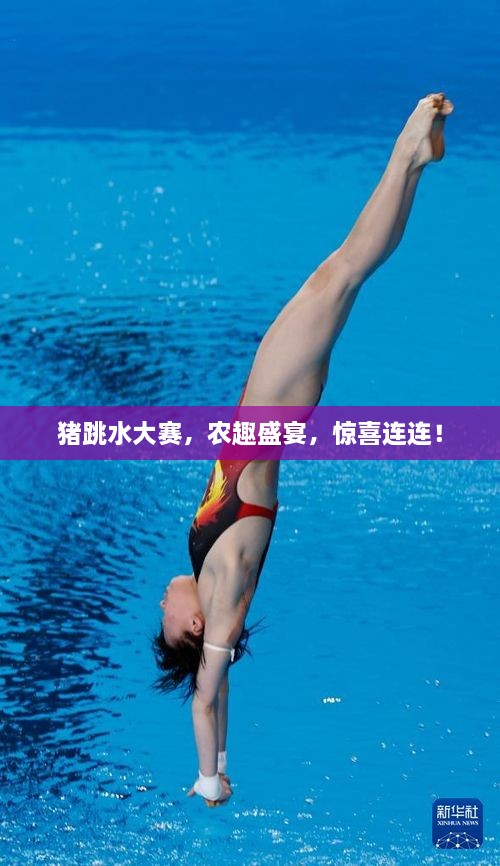 猪跳水大赛，农趣盛宴，惊喜连连！