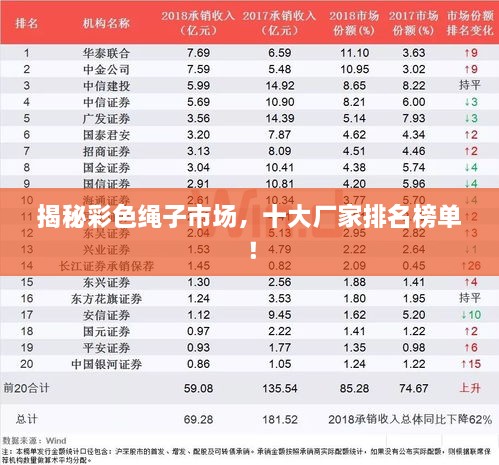 揭秘彩色绳子市场，十大厂家排名榜单！