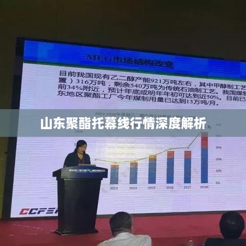 山东聚酯托幕线行情深度解析