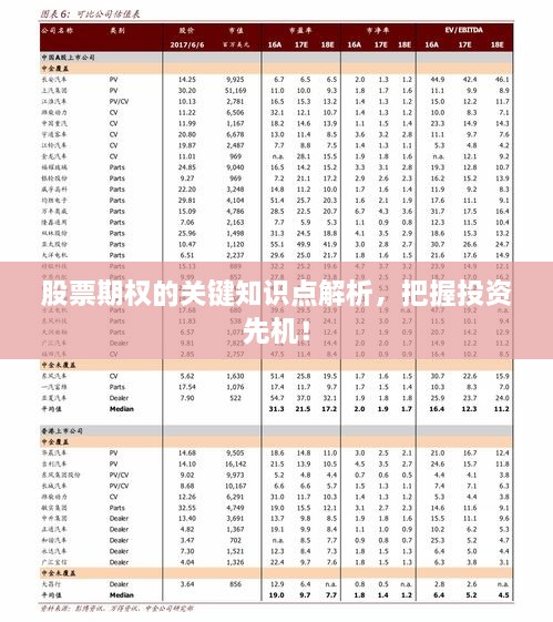 股票期权的关键知识点解析，把握投资先机！