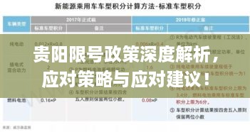 贵阳限号政策深度解析，应对策略与应对建议！